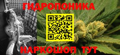 соль ск Партизанск