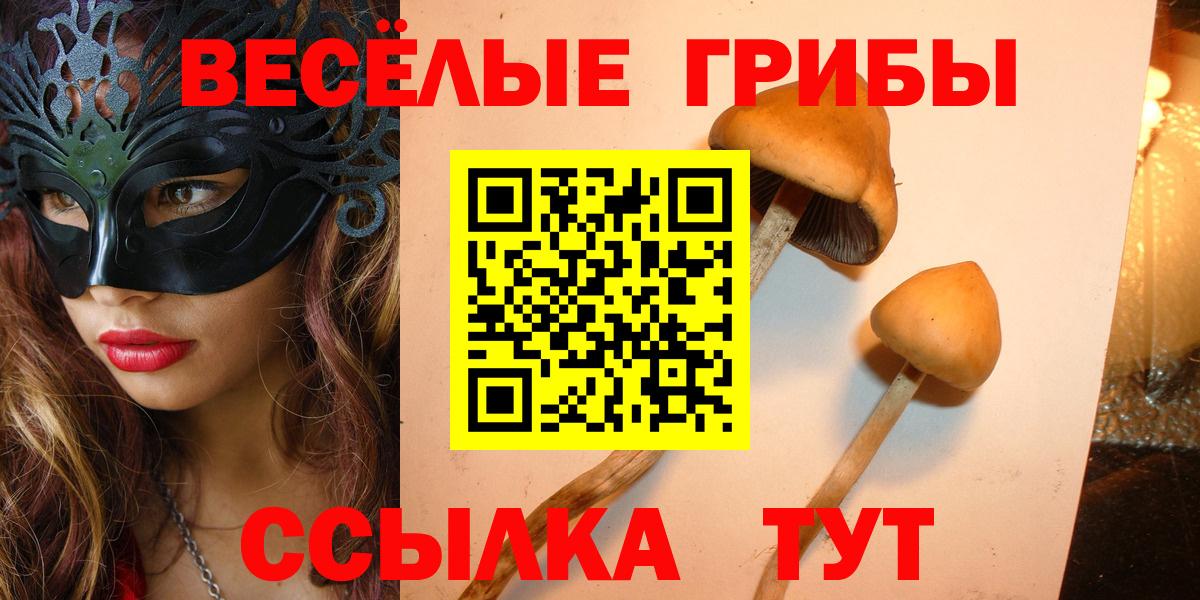 Псилоцибиновые грибы мухоморы Троицк